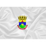 Bandeira Belo Horizonte - Minas Gerais
