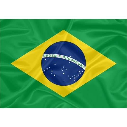 Bandeira Estampada Brasil