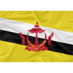 Bandeira Brunei