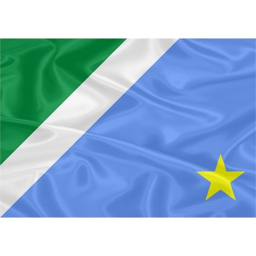Bandeira Mato Grosso do Sul