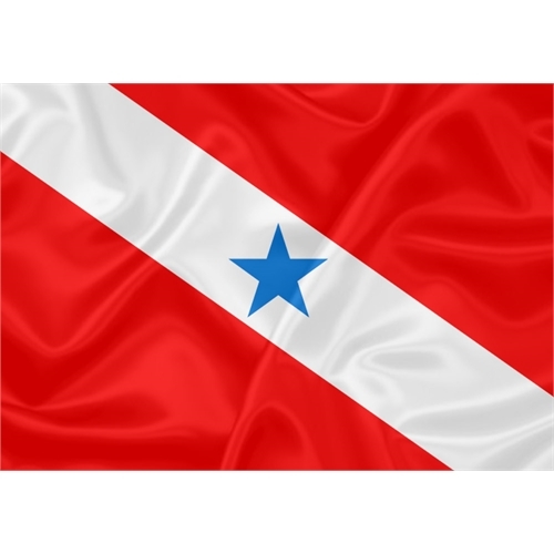 Bandeira Pará